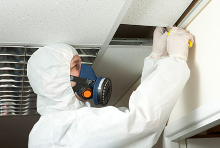 Asbestos Management